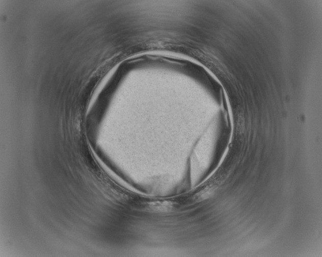 X0000062610363200601181635