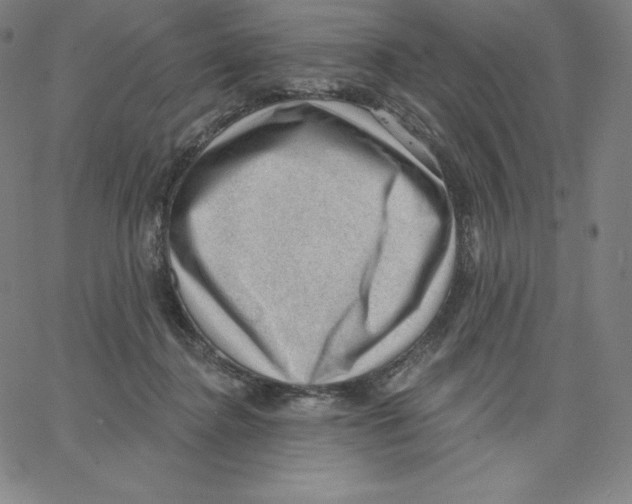 X0000062610364200601181635