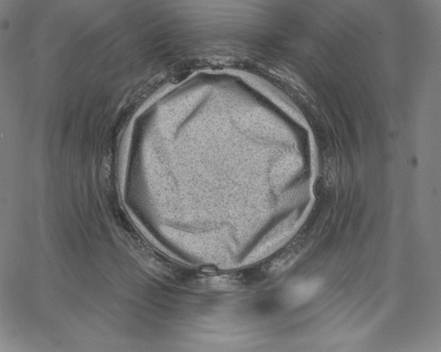 X0000062610365200601181635