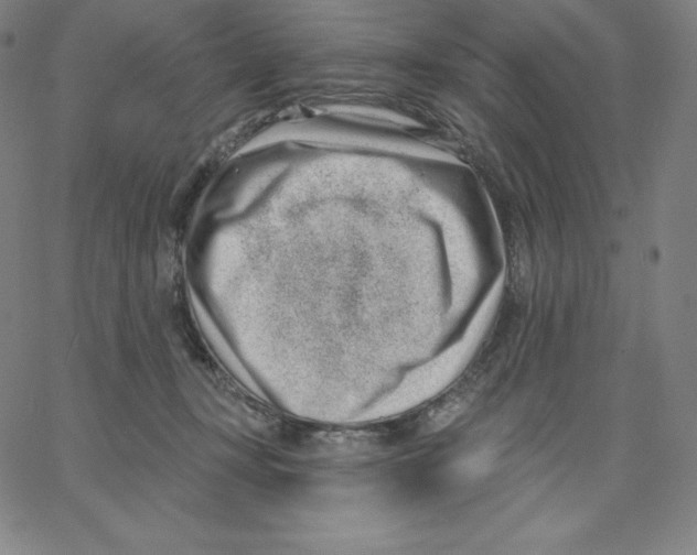 X0000062610367200601181635