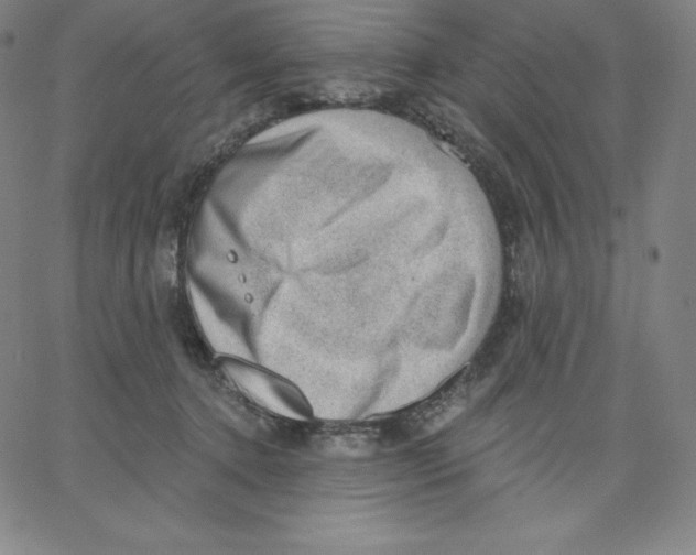 X0000062610368200601181635