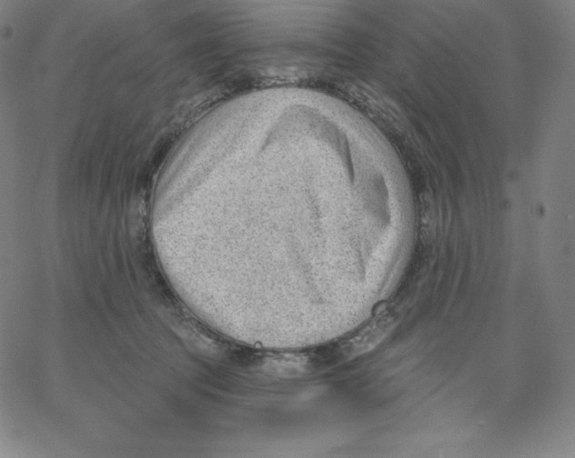 X0000062610369200601181635