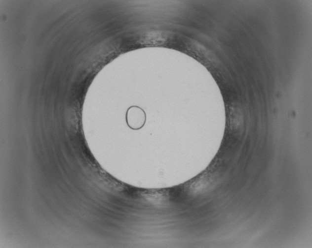 X0000062610370200601181635