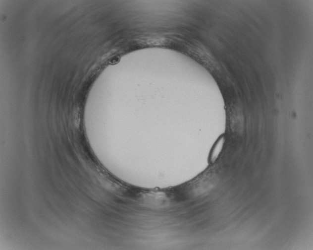 X0000062610374200601181635