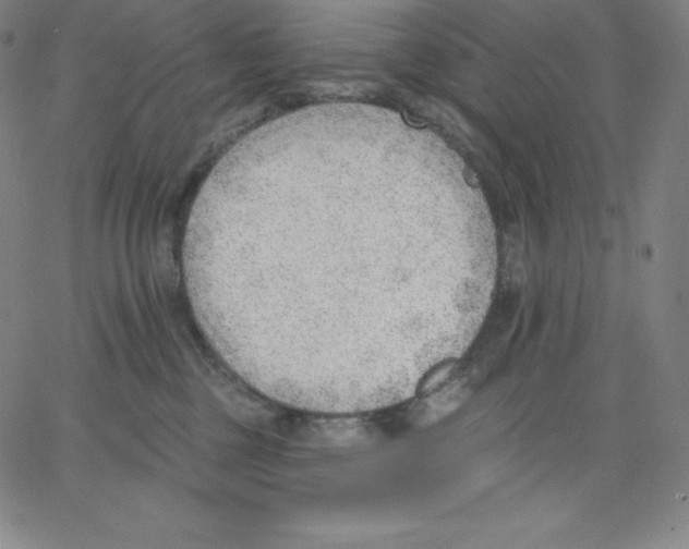 X0000062610377200601181635