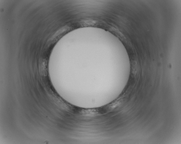 X0000062610378200601181635