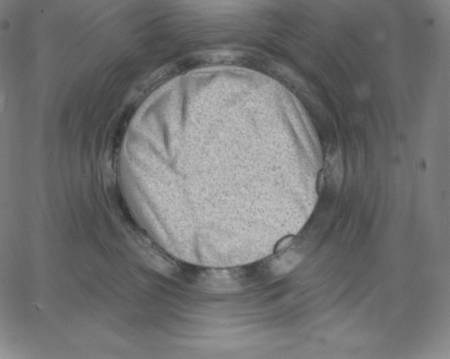 X0000062610381200601181635