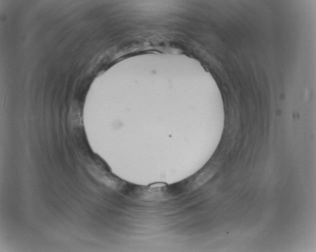 X0000062610384200601181635