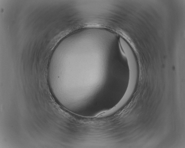 X0000062610385200601181635