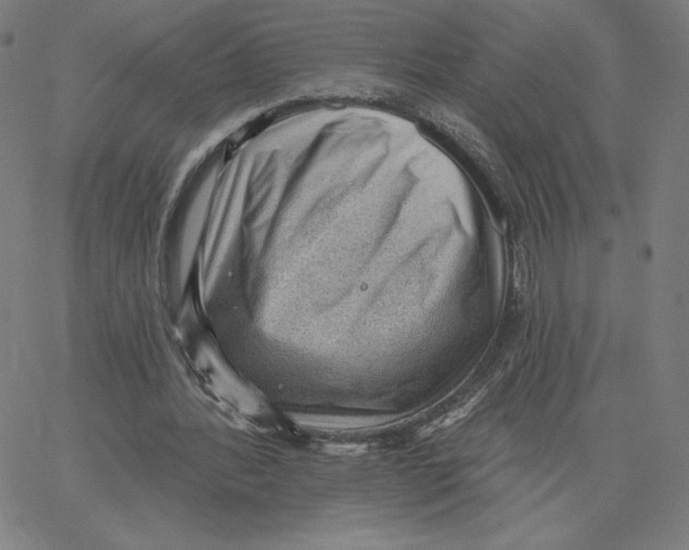 X0000062610388200601181635