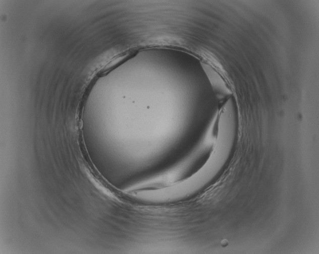 X0000062610389200601181635