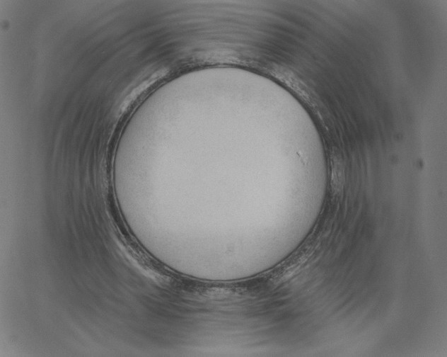 X0000062610390200601181635