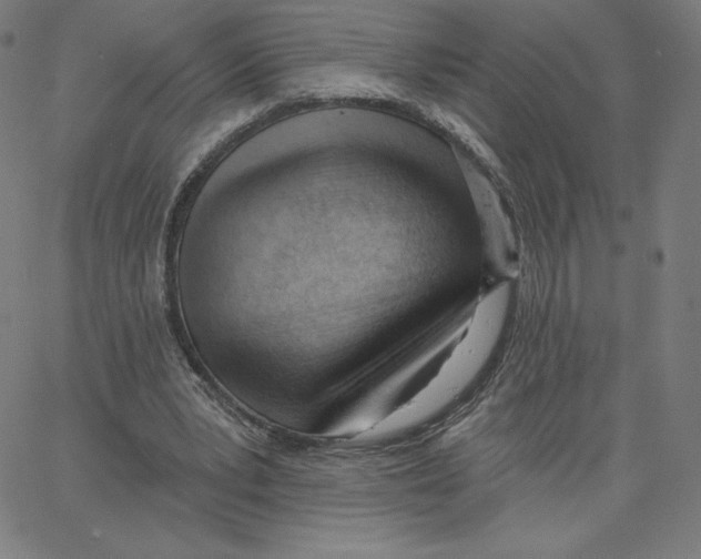 X0000062610391200601181635