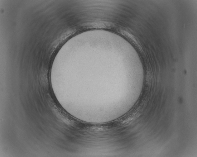 X0000062610394200601181635