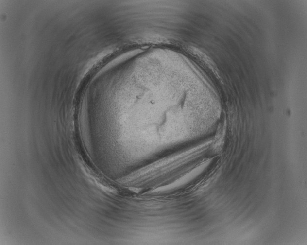 X0000062610395200601181635