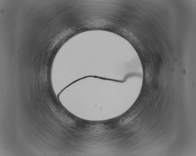 X0000062610396200601181634