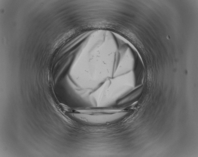 X0000062610397200601181634