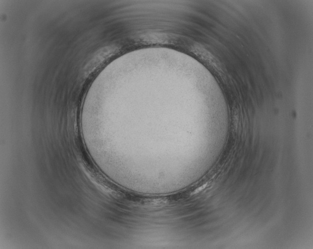 X0000062610398200601181634