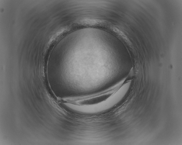 X0000062610399200601181634