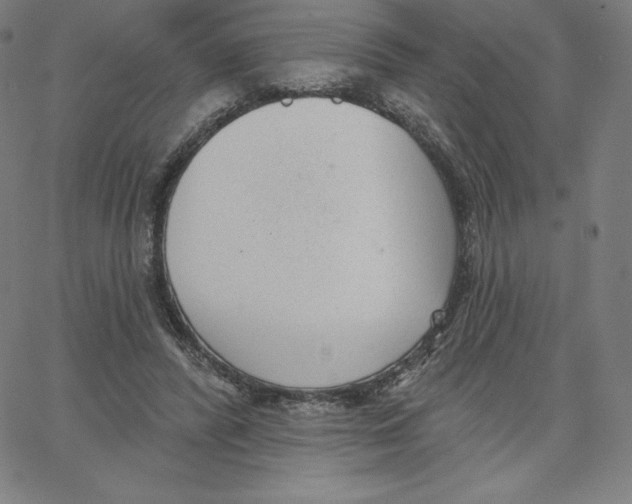 X0000062610400200601181634