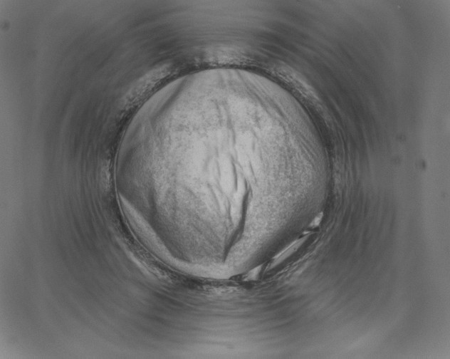 X0000062610401200601181634