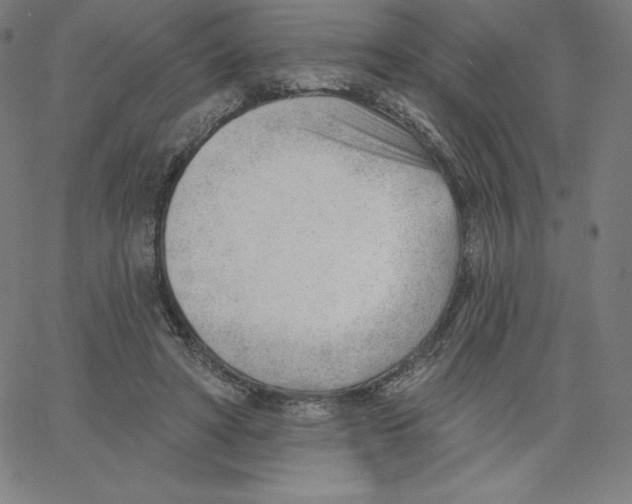 X0000062610402200601181634