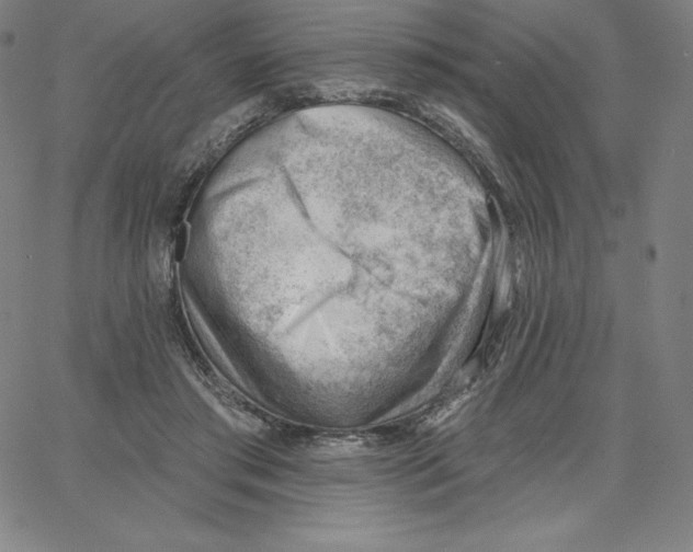 X0000062610405200601181634