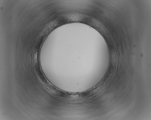 X0000062610406200601181634