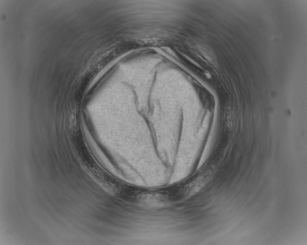 X0000062610408200601181634