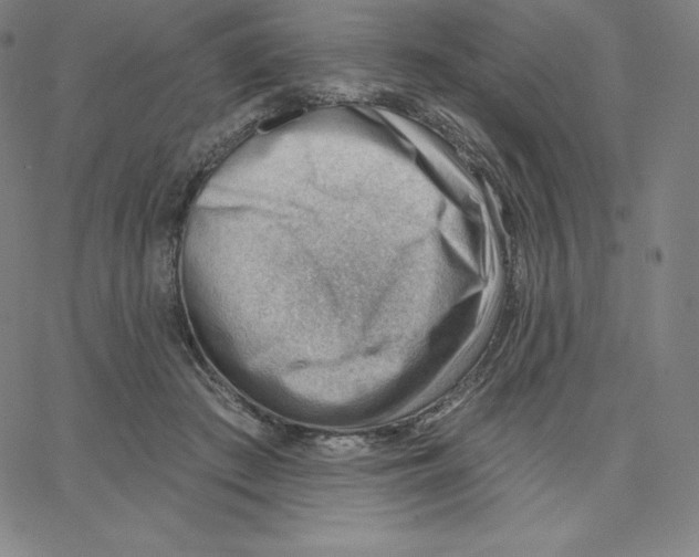 X0000062610409200601181634