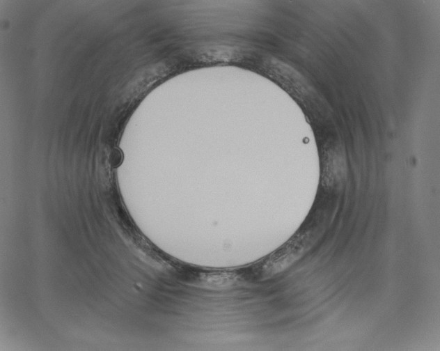 X0000062610414200601181634