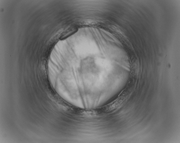 X0000062610415200601181634