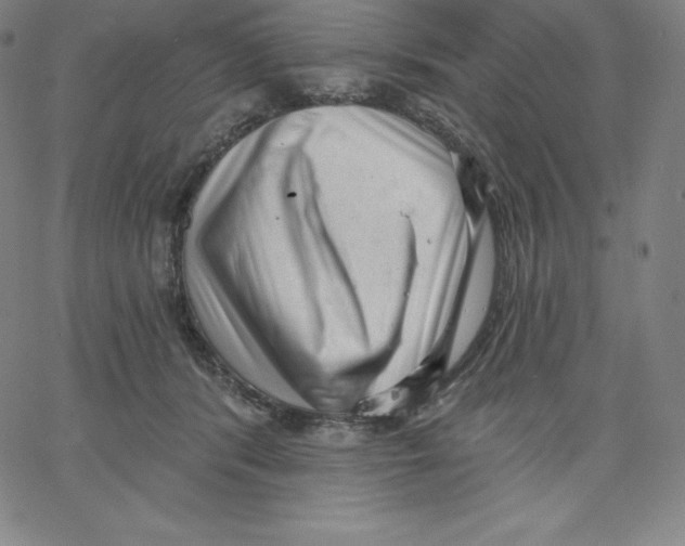 X0000062610416200601181634