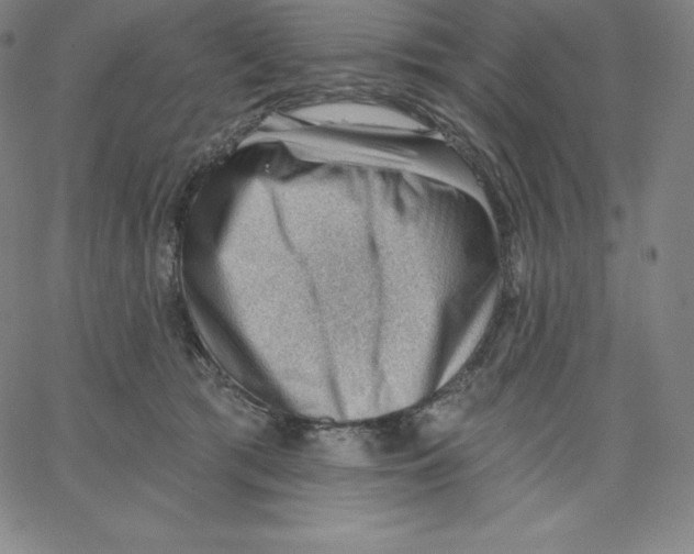 X0000062610417200601181634