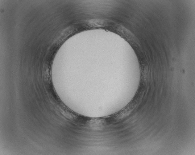 X0000062610418200601181634