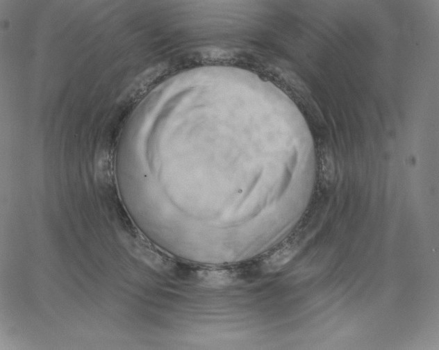 X0000062610419200601181634