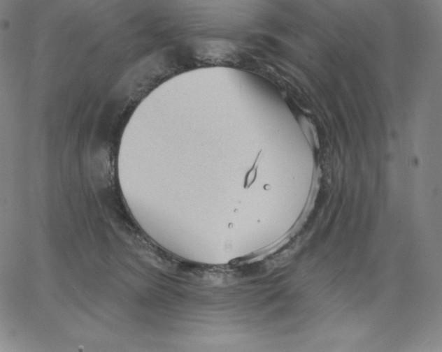 X0000062610420200601181634