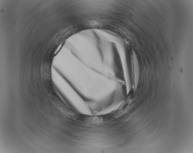 X0000062610421200601181634