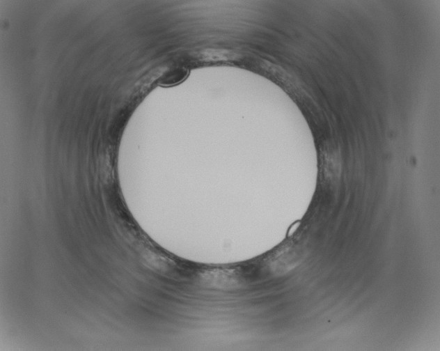 X0000062610422200601181634