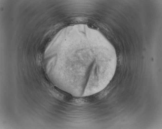 X0000062610423200601181634