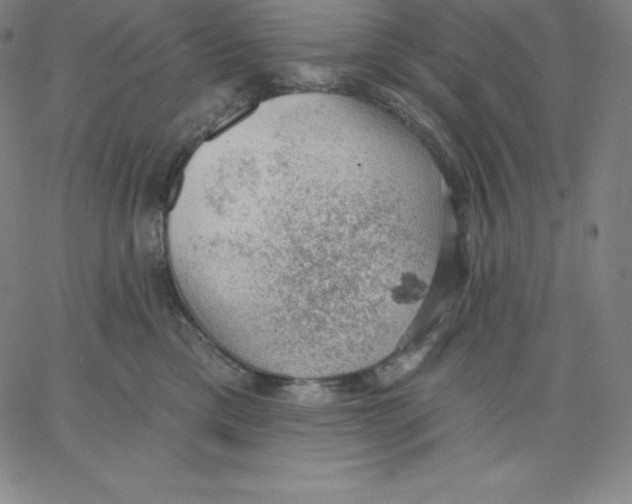 X0000062610425200601181634