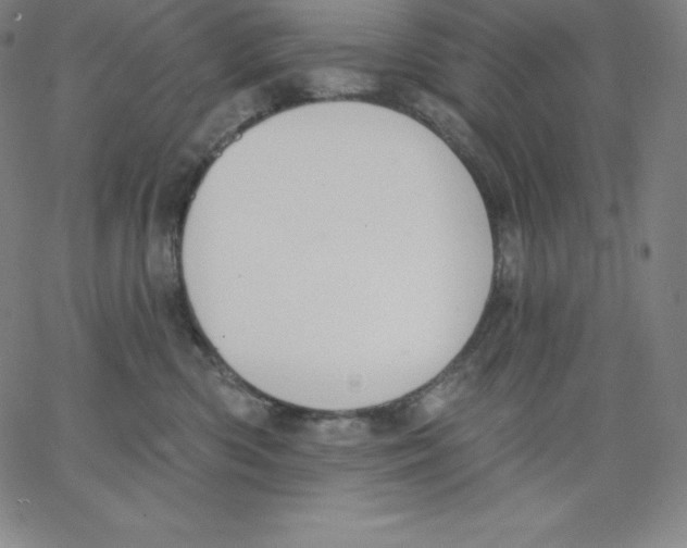 X0000062610426200601181634