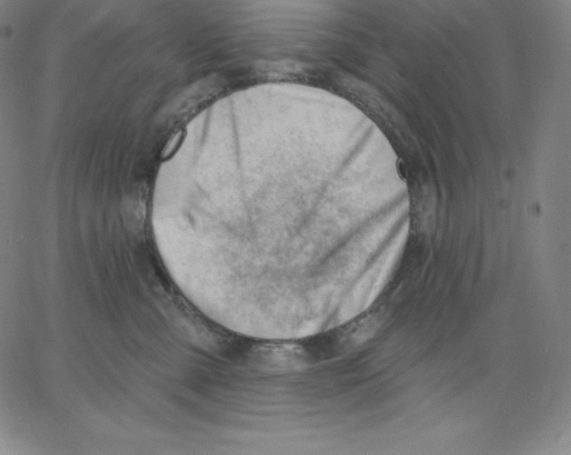 X0000062610427200601181634