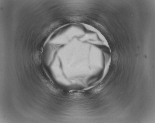 X0000062610428200601181634