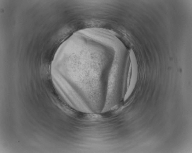 X0000062610429200601181634