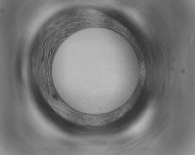 X0000062610431200601181634