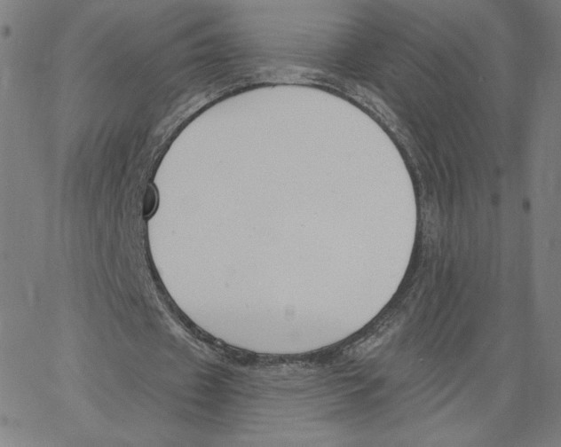 X0000062610433200601181633