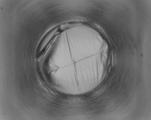 X0000062610435200601181633