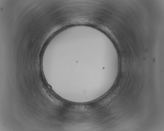 X0000062610439200601181633