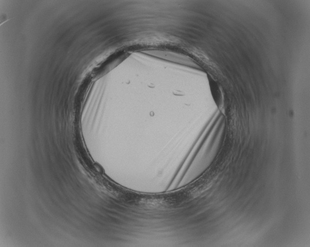 X0000062610440200601181633